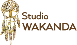 studio-sportif-wakanda-annecy-74